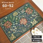 玄関マット コンプトン FH1713 60×92 cm