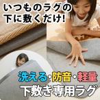 ラグ 下敷き専用 ふかピタ 170×170 cm ふっくら 防音 ラグマット に早変わり スミノエ 洗える 滑らない 高反発 アンダー クッション シート 2畳 送料無料