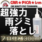 ステイン＆スケールクリーナー 300ml（酸性） ボディの ウロコ ウォータースポット シリカスケール を一発除去 超強力