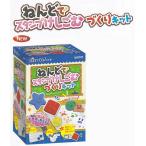 在庫処分特価 文具をつくろう！シリーズ  ねんどでスタンプけしごむづくりキット クツワ PT997 工作 自由研究 知育玩具 [re]