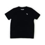 アバクロ Abercrombie Tシャツ・カット�