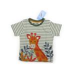 ジョジョママンベベ JoJo Maman Bebe Tシャツ・カットソー 100サイズ 男の子 子供服 ベビー服 キッズ