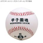  амулет мяч серии ( автограф мяч ) Koshien душа BB78-02