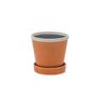 g Rossi - pot абрикос 30760