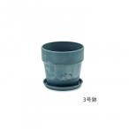  urban растения pot кудрявая капуста 81103