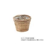  большой . новый . магазин ma стул раунд посадочная машина D5 Brown 29-265