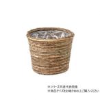  большой . новый . магазин ma стул раунд посадочная машина D6 Brown 29-266