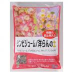 グリーンプランシンビジューム・洋ら...