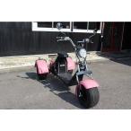 ブレイズEVトライク 三輪トライク 公道走行可・EV・車検不要・ヘルメット不要