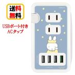 ユニバーサルマルチ変換プラグ (USBポート付き)