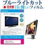 EIZO FlexScan L997-GY 21.3インチ ブルーラ