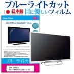 SONY BRAVIA KDL-24W600A W 24インチ ブルー