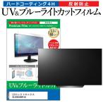 LGエレクトロニクス OLED55B8PJA 55型 液