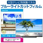 SONY BRAVIA KJ-55X80J 液晶テレビ保護パ