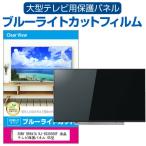 SONY BRAVIA KJ-65X8500F 液晶テレビ保護パ