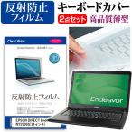 EPSON DIRECT Endeavor NY2500S 液晶 保護 フ