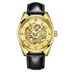 ショッピングLuxury SOLLEN Gold Watches for Men, Luxury Self Winding Automatic Watch, 3 ATM Waterproof Men's Wrist Watch with Original Movement - 41mm 並行輸入品