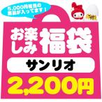 【2/16以降〜出荷】お1人様1セット限り 限定福袋・ラッピング不可 480 サンリオキャラクター福袋