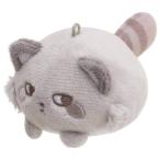 �R�R���A���C�O�} �ɂ����傱�ʂ������ �A�V�A���C�O�}�@�Z�[���E���b�s���O�s��