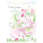  дыня enaga маленький память 001620