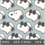  Snoopy блок память 327726 шутки -ruPEANUTS Peanuts 