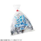 冷凍品 メジカ(カツオ幼魚)小型 釣り餌 つりえさ 海上釣り堀 身エサ クエ アラ 青物 (一回購入16個まで)