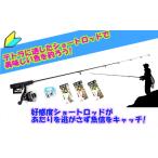 テトラ釣リ入門・初心者用セット 堤防 釣り 竿 ロッド リール 磯釣り セット