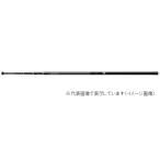 ダイワ 18 IM玉ノ柄 70