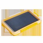  Akira . химия разрез пена кейс J искусственная приманка кейс 