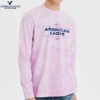 アメリカンイーグル tシャツ メンズ Tシャツ American Eagle Outfitters