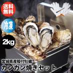  can can жарение комплект рефрижератор ..2kg нет выбор другой бесплатная доставка 