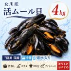 . двустворчатая ракушка 4kg женщина река производство 