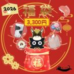 ショッピング雑貨 2026年 福袋 ねこのくに 3300円 猫雑貨 3300円コース 満足にゃんこ袋