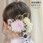 送料無料 和髪飾り 豪華6点！マルチアレンジセット 桜の花ヘアクリップ 水引 パール Uピン 和装アクセサリー ヘアアクセサリー TAKキャサリンコテージ