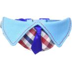  кошка pohs рейс возможность earth домашнее животное ..mote проверка галстук воротник есть кошка ошейник синий 