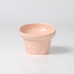  есть перевод HARIO ... pre высокий salmon розовый 