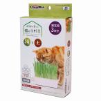  Doogie man - cocos nucifera ....... кошка. сырой овощи вид . земля дополнительный для 3 выпуск использование временные ограничения :2026 год 8 месяц 5 день 