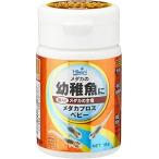 訳ありキョーリンヒカリメダカプロス...