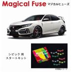 国内正規販売店 マジカルヒューズ�