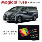 国内正規販売店 マジカルヒューズ�