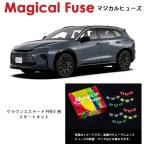 国内正規販売店 マジカルヒューズ�