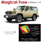 国内正規販売店 マジカルヒューズ�