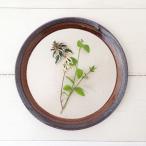 アメ釉 丸皿 25cm 大皿 ワンプレート 