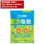 セール価格 サラヤ SARAYA 匠の塩飴 マスカット味 2kg 27859 5/15 ポイント+5倍