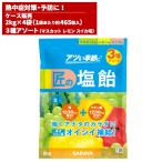 まとめ買い セール価格 サラヤ SARAYA 匠の塩飴 3種アソート味 マスカット・レモン・スイカ 2kg 4袋入(＠1袋あたり3337.2円)27861