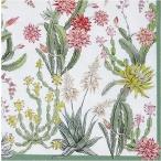 ZARA HOME ザラホーム スペイン ペーパーナプキン Lunch napkins サボテン 花 バラ売り2枚1セット zara41872022999993