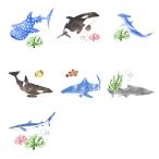  имя наклейка стандартный водоотталкивающий модель 375 деталь автомобиль chi&amp;same оплата при получении не возможно входить . подготовка входить . подготовка имя этикетка наклейка ребенок ученик начальной школы .. пачка рассылка 