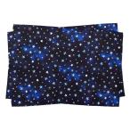 ランチョンマット(40cm×60cm) 撥水ノーアイロン 2枚セット スターリングシルバー