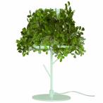 テーブルライト ディクラッセ フォレスティ テーブルランプ DI CLASSE テーブルライト Foresti table lamp