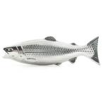 ソープ キッカーランド FISH MAGIC SOAP KIKKERLAND フィッシュ マジック ソープ